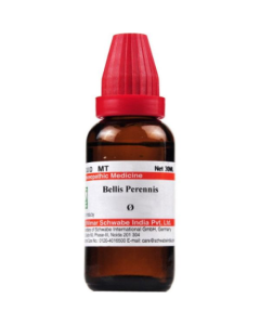 Dr. Willmar Schwabe Bellis Perennis Ø Liquid 30 ml