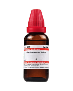 Dr. Willmar Schwabe Cardiospermum Halica Ø Liquid 30 ml
