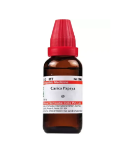 Dr. Willmar Schwabe Carica Papaya Ø Liquid 30 ml