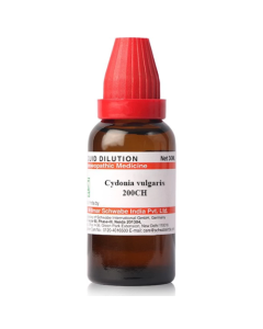 Dr. Willmar Schwabe Cydonia Vulgaris 200CH Liquid 30 ML