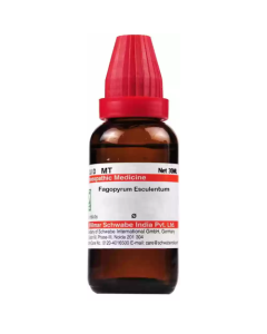 Dr. Willmar Schwabe Fagopyrum Esculentum Ø Liquid 30 ml