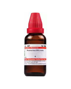 Dr. Willmar Schwabe Rosmarinus Officinalis Ø Liquid 30 ml
