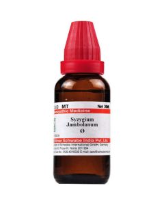 Dr. Willmar Schwabe Syzygium Jambolanum Ø Liquid 30 ml