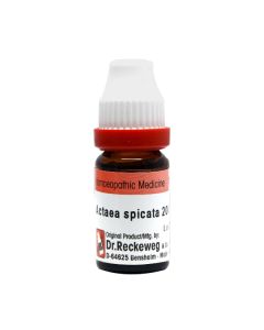Dr. Reckeweg Actaea Spicata 200 Liquid 11 ml