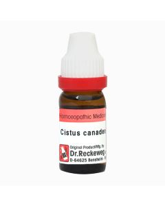 Dr. Reckeweg Cistus Canadensis 30 Liquid 11 ml