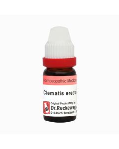 Dr. Reckeweg Clematis Erecta CM Liquid 11 ml