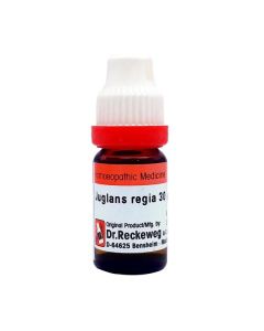 Dr. Reckeweg Juglans Regia 30 Liquid 11 ml