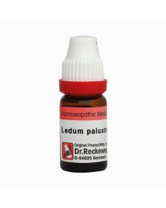 Dr. Reckeweg Ledum Palustre CM Liquid 11 ml