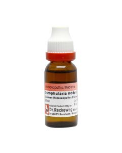 Dr. Reckeweg Scrophularia Nod Q Liquid 20 ml