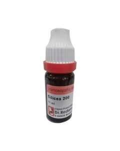 Dr. Reckeweg Silicea Terra 6 Liquid 11 ml