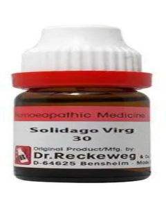 Dr. Reckeweg Solidago Virgaurea 30 Liquid 11 ml
