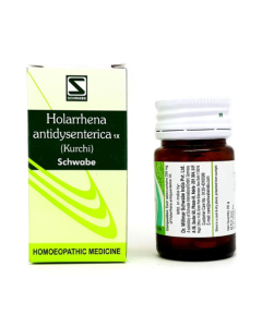 Dr. Willmar Schwabe Holarrhena Antidysenterica 1X Tablet 20 gm
