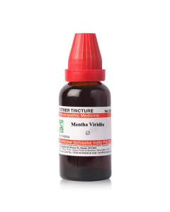 Dr. Willmar Schwabe Mentha Viridis Ø Liquid 30 ml