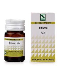 Dr. Willmar Schwabe Silicea 12X Tablet 20 gm