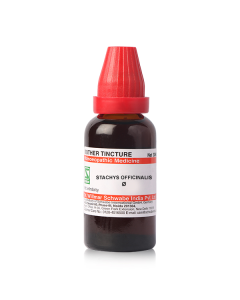 Dr. Willmar Schwabe Stachys Officinalis Ø Liquid 30 ml