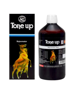 Lord's Tone Up Tonic 450 ml