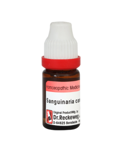 Dr. Willmar Schwabe Sanguinaria Canadensis Ø Liquid 30 ml