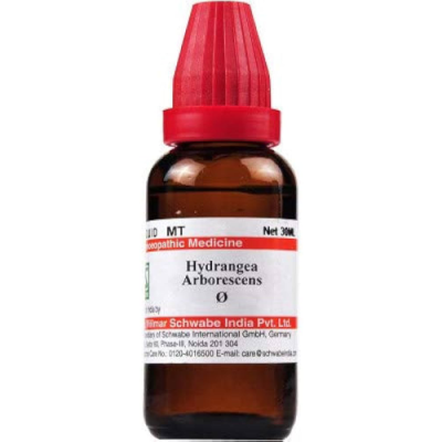 Dr. Willmar Schwabe Hydrangea Arborescens Ø Liquid 30 ml
