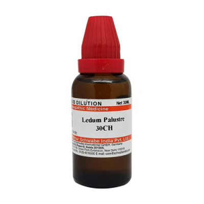 Dr. Willmar Schwabe Ledum Palustre 30CH Liquid 30 ML