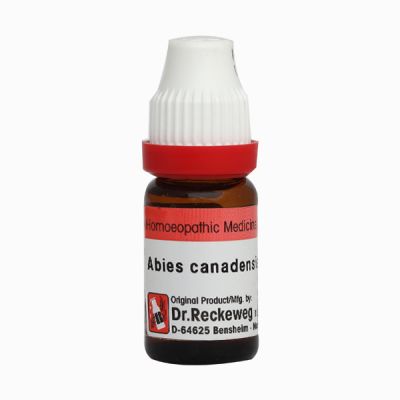 Dr. Reckeweg Abies Canadensis 30 Liquid 11 ml