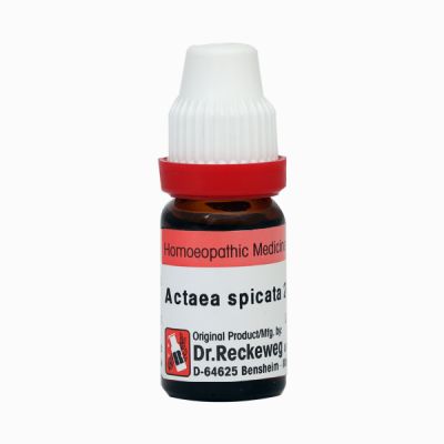 Dr. Reckeweg Actaea Spicata 30 Liquid 11 ml