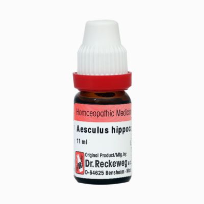 Dr. Reckeweg Aesculus Hip 200 Liquid 11 ml