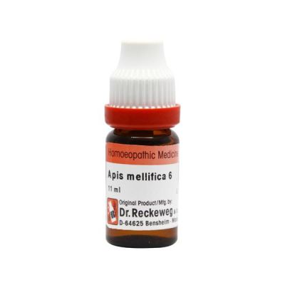 Dr. Reckeweg Apis Mellifica 6 Liquid 11 ml