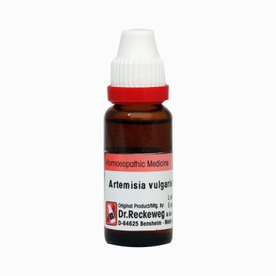 Dr. Reckeweg Artemisia Vulgaris 30 Liquid 11 ml