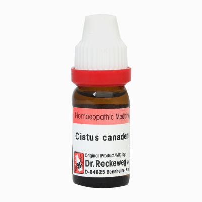 Dr. Reckeweg Cistus Canadensis 10M Liquid 11 ml