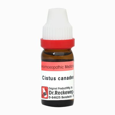 Dr. Reckeweg Cistus Canadensis 30 Liquid 11 ml