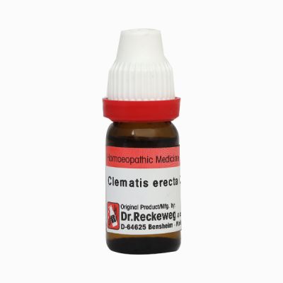 Dr. Reckeweg Clematis Erecta 30 Liquid 11 ml