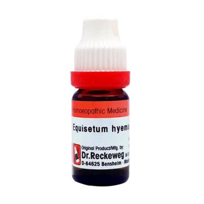 Dr. Reckeweg Equisetum Hyemale 1M Liquid 11 ml