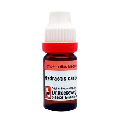 Dr. Reckeweg Hydrastis Canadensis 3X Liquid 11 ml