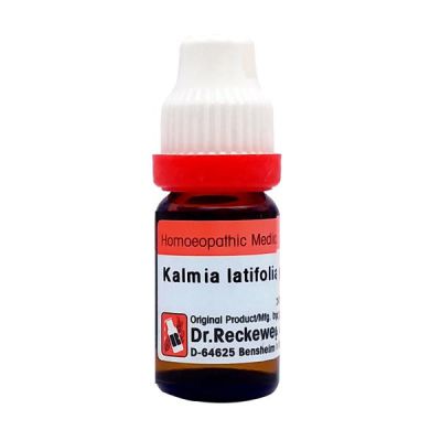 Dr. Reckeweg Kalmia Latifolia 30 Liquid 11 ml