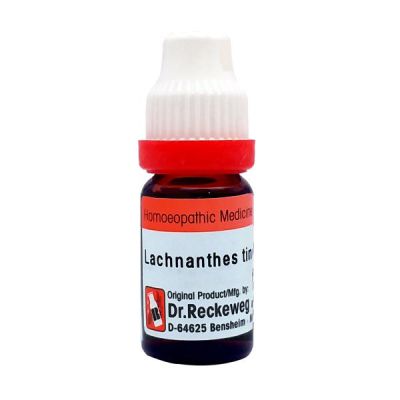 Dr. Reckeweg Lachnanthes Tinctoria 200 Liquid 11 ml