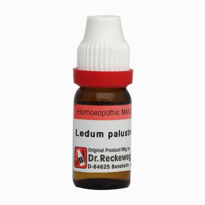 Dr. Reckeweg Ledum Palustre 10M Liquid 11 ml