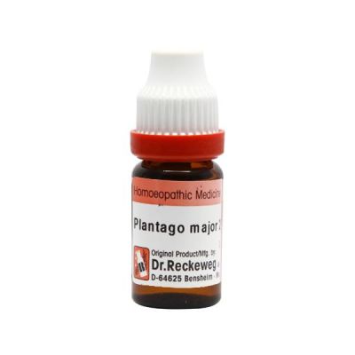 Dr. Reckeweg Plantago Major 200 Liquid 11 ml