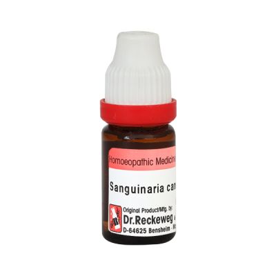 Dr. Reckeweg Sanguinaria Canadensis 30 Liquid 11 ml