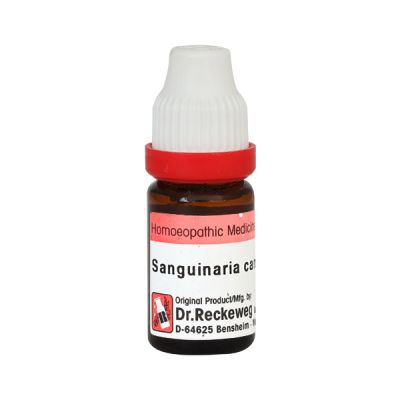 Dr. Reckeweg Sanguinaria Canadensis CM Liquid 11 ml
