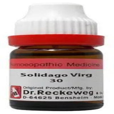 Dr. Reckeweg Solidago Virgaurea 30 Liquid 11 ml