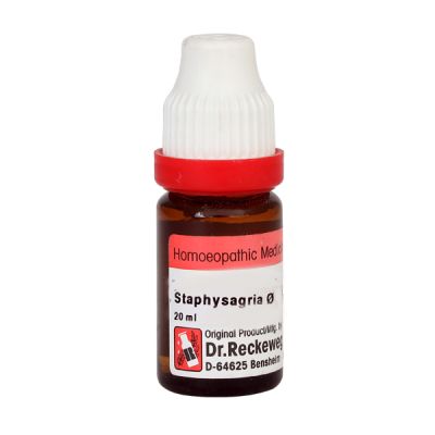 Dr. Reckeweg Staphysagria Q Liquid 20 ml