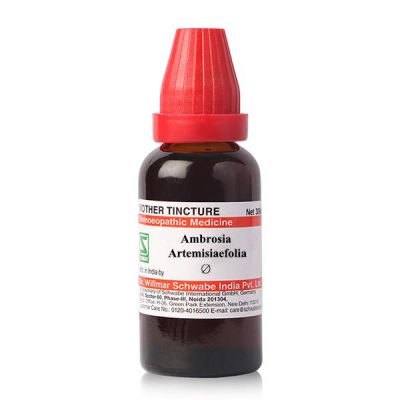 Dr. Willmar Schwabe Ambrosia Artemisiaefolia Ø Liquid 30 ml