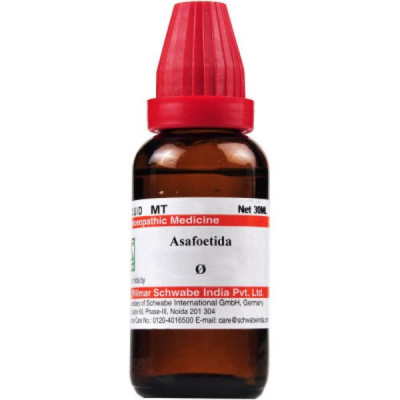 Dr. Willmar Schwabe Asafoetida Ø Drops 30 ml