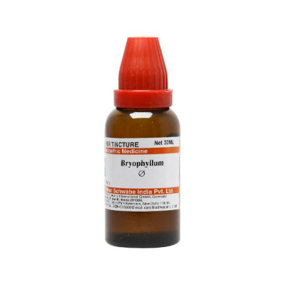 Dr. Willmar Schwabe Bryophyllum Ø Liquid 30 ml