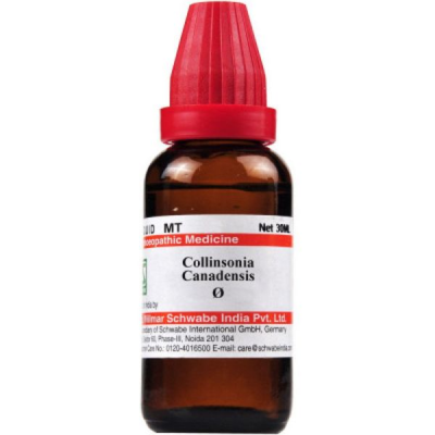 Dr. Willmar Schwabe Collinsonia Canadensis Ø Drops 30 ml