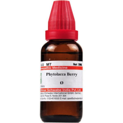 Dr. Willmar Schwabe Phytolacca Berry Ø Drops 30 ml
