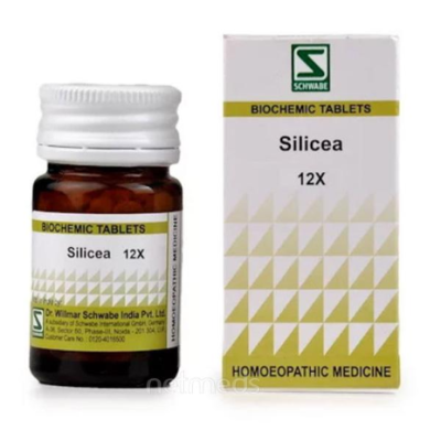 Dr. Willmar Schwabe Silicea 12X Tablet 20 gm