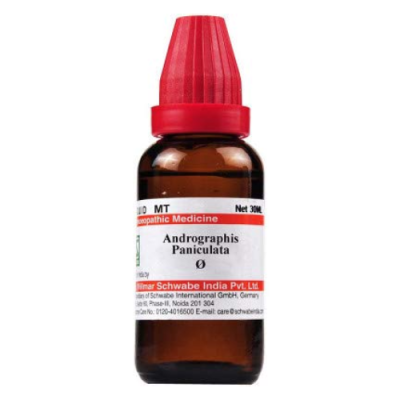 Dr. Willmar Schwabe Andrographis Paniculata Ø Liquid 30 ml