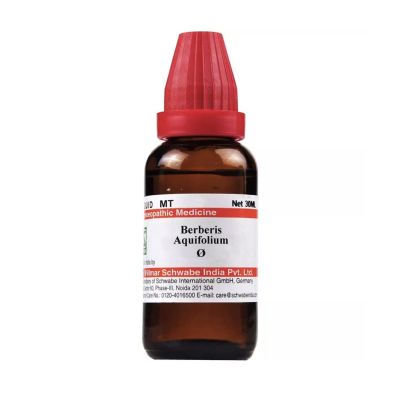 Dr. Willmar Schwabe Berberis Aquifolium Ø Liquid 30 ml