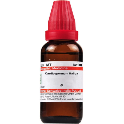 Dr. Willmar Schwabe Cardiospermum Halica Ø Liquid 30 ml